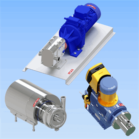 SS Pumps