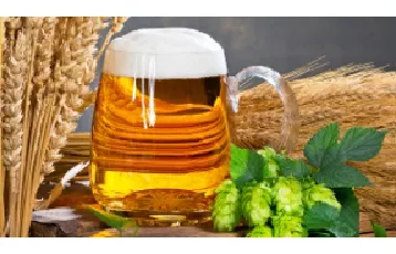 A Comprehensive Guide to Filtration and Clarification in Non-Alcoholic Beer
